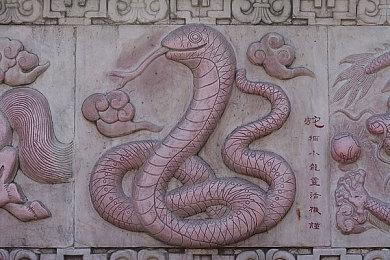 《Malleus Cocconum: The Heiress》Steam页面 支持中文